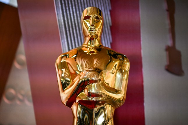 TOPSHOT-US-ENTERTAINMENT-FILM-OSCARS-INTERNATIONAL FEATURE
