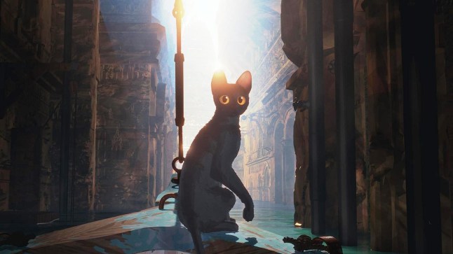 A still of the black cat from Flow