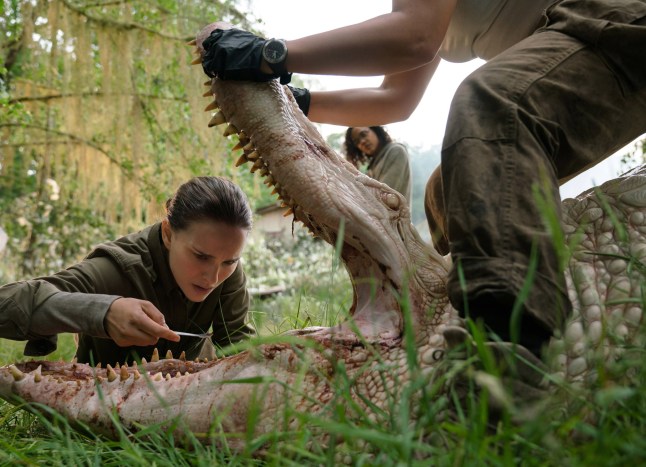 No Merchandising. Editorial Use Only. No Book Cover Usage. Mandatory Credit: Photo by Universal/Everett/REX/Shutterstock (14200285a) ANNIHILATION, Natalie Portman (left), Tessa Thompson (back), 2018. ph: Peter Mountain /? Paramount Pictures /Courtesy Everett Collection Annihilation - 2018