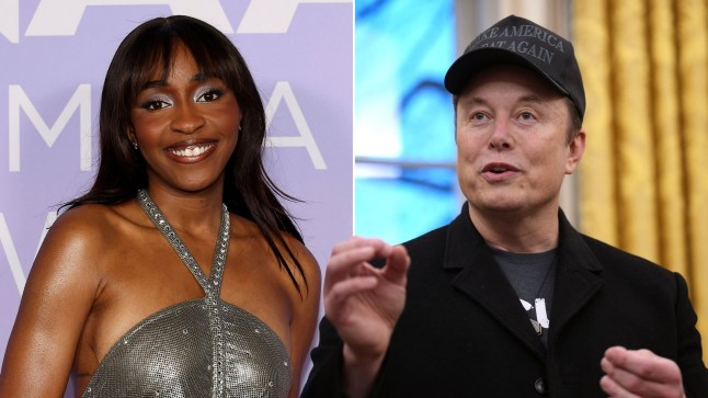 Ayo Edebiri Elon Musk Shutterstock/Getty Images