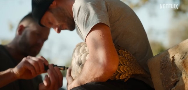 Netflix viewers counting down to new documentary being hailed 'the next Octopus Teacher' Netflix