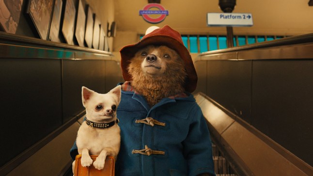 Editorial use only. No book cover usage. Mandatory Credit: Photo by Moviestore/REX/Shutterstock (4313750e) Paddington 'Paddington' Film - 2014