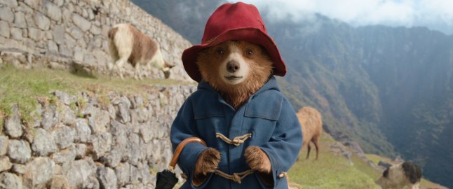Undated film still from Paddington In Peru. Pictured: Paddington (voiced by Ben Whishaw). See PA Feature SHOWBIZ Film Reviews. WARNING: This picture must only be used to accompany PA Feature SHOWBIZ Film Reviews. PA Photo. Picture credit should read: StudioCanal. All Rights Reserved. NOTE TO EDITORS: This picture must only be used to accompany PA Feature SHOWBIZ Film Reviews.