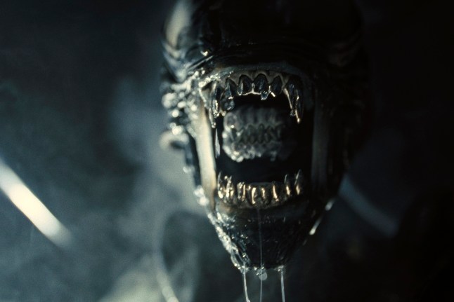 This image released by 20th Century Studios shows Xenomorph in a scene from "Alien: Romulus." (20th Century Studios via AP)