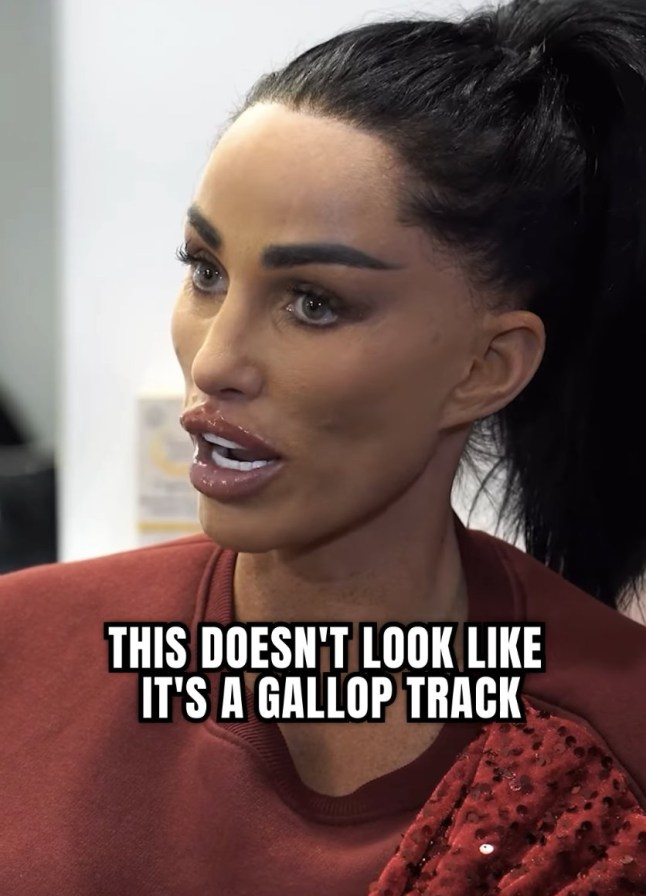uncleared grabs: Katie Price
