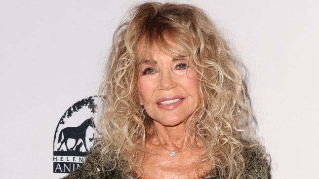 Mandatory Credit: Photo by Chelsea Lauren/REX/Shutterstock (15238607hz) Dyan Cannon 10th Annual Hollywood Beauty Awards, Los Angeles, California, USA - 06 Apr 2025