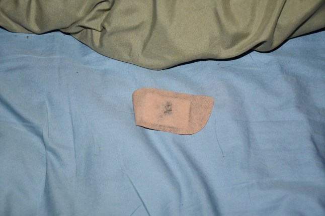 Picture from Gene Hackman police investigation