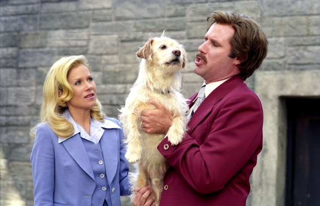 Editorial use only. No book cover usage. Mandatory Credit: Photo by Dreamworks/Everett/REX/Shutterstock (460304c) 'ANCHORMAN,THE LEGEND OF RON BURGUNDY' - Christina Applegate, Baxter the dog and Will Ferrell 'Anchorman,The Legend Of Ron Burgundy' Film - 2004