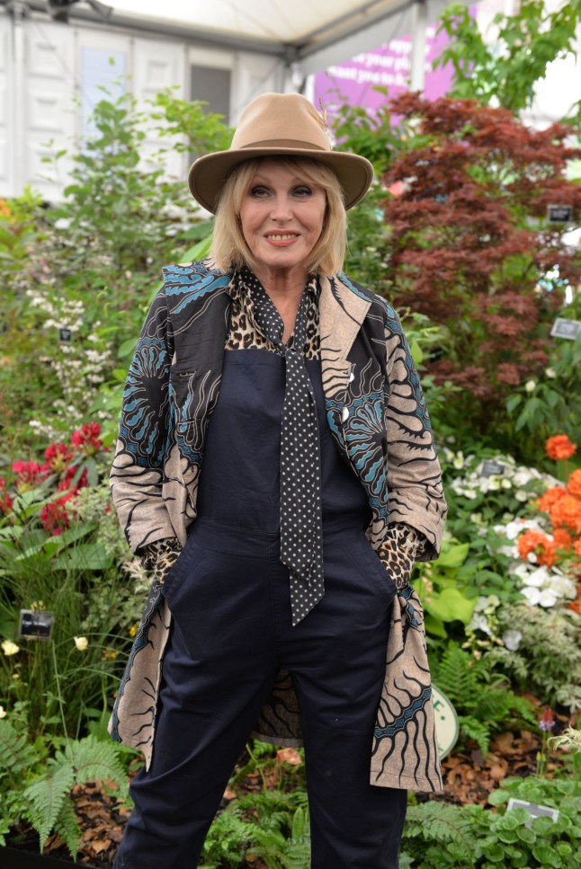 Mandatory Credit: Photo by REX/Shutterstock (13927788cq) Joanna Lumley RHS Chelsea Flower Show, Royal Hospital Chelsea, London, UK - 22 May 2023