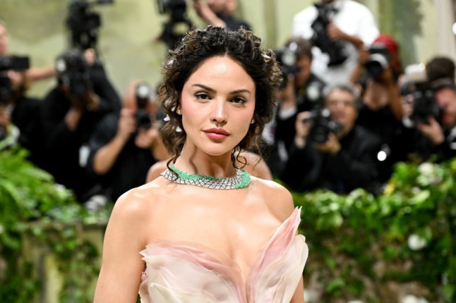 The 2024 Met Gala: "Sleeping Beauties: Reawakening Fashion" - Arrivals