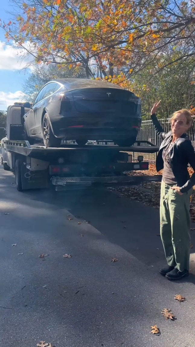 Country star Sheryl Crow slammed as 'elitist' after latest empty gesture against Musk