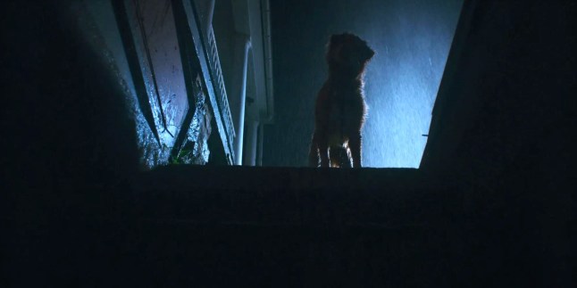 'XXXX' horror film with 100% Rotten Tomatoes rating will finally be available to stream at home