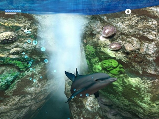 Ecco the Dolphin swimming underwater